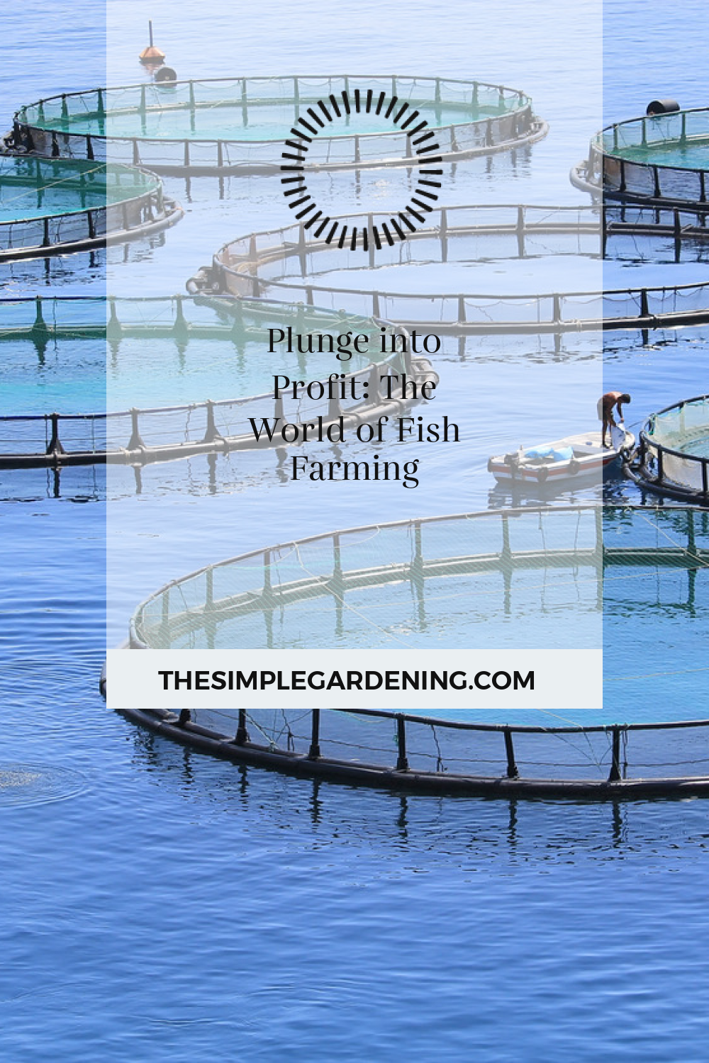 Plunge into Profit: The World of Fish Farming